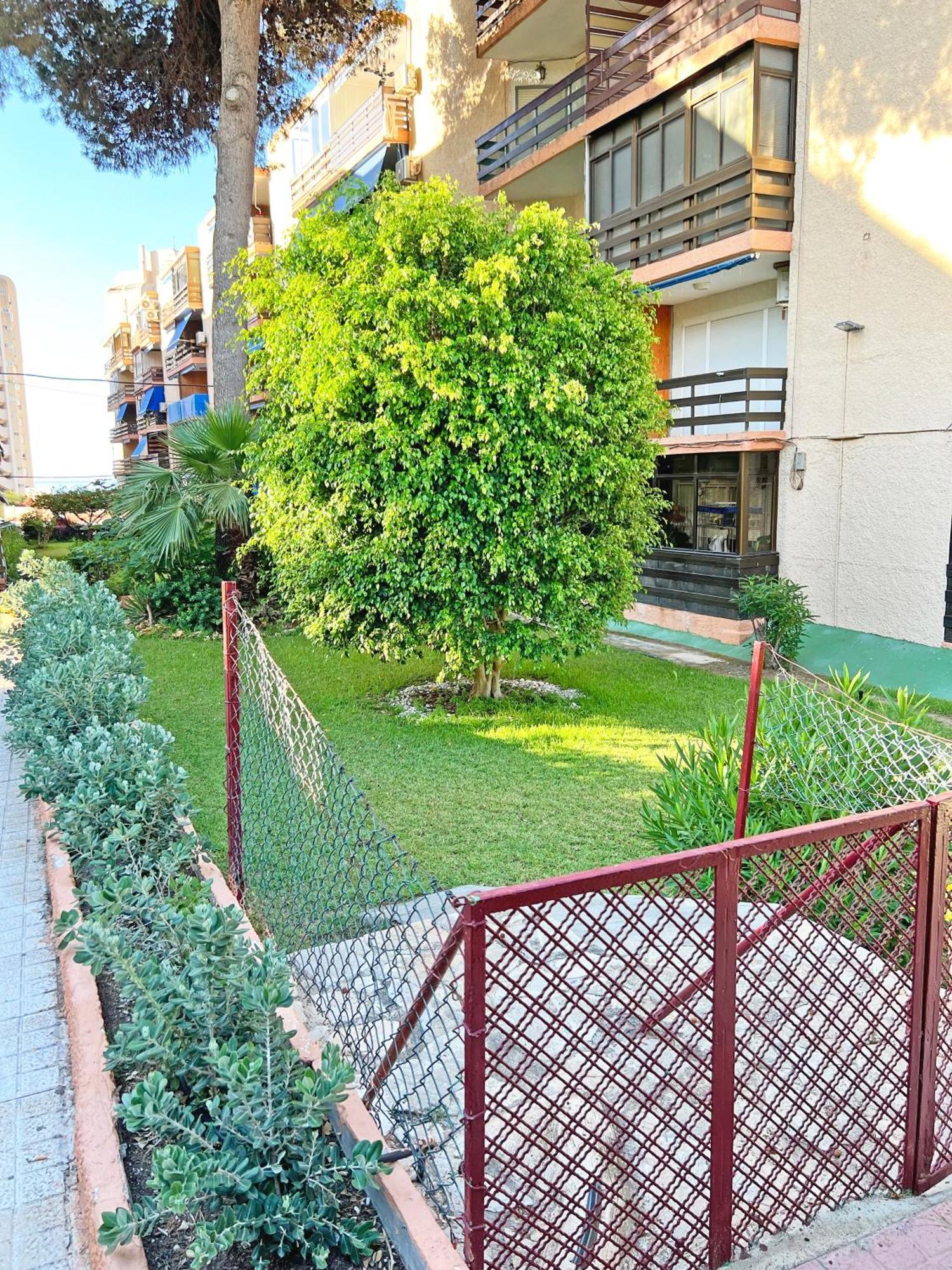 Coqueto Con Piscina, Nuevo A 50M Del Mar, Parking Gratis Apartment El Campello Luaran gambar