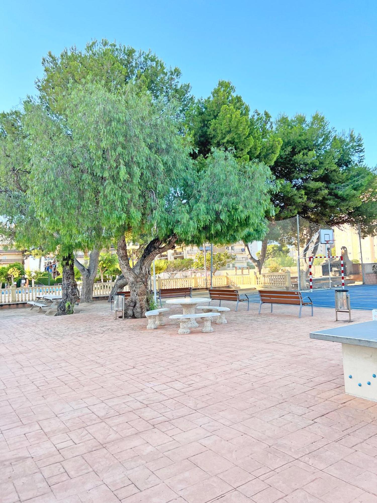Coqueto Con Piscina, Nuevo A 50M Del Mar, Parking Gratis Apartment El Campello Luaran gambar